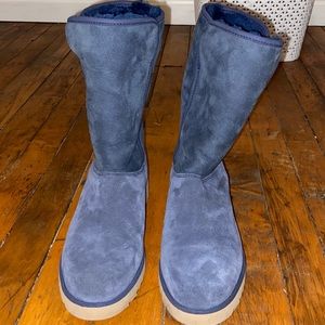 Navy UGGS